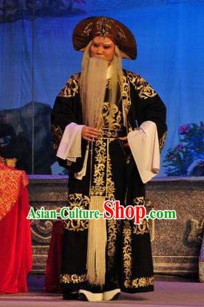 Unhappy Marriage Chinese Guangdong Opera Elderly Man Apparels Costumes and Headwear Traditional Cantonese Opera Wusheng Garment Martial Male Clothing