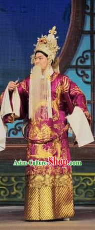 Fan Lihua Return Tang Chinese Guangdong Opera Elderly Male Apparels Costumes and Headwear Traditional Cantonese Opera Duke Garment Lord Clothing