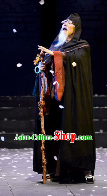 Chinese Traditional Song Dynasty Poet Lu You Apparels Costumes Historical Drama Phoenix Hairpin Ancient Elderly Male Garment Literati Clothing and Headwear