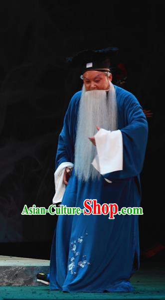 Cao Min Song Shijie Chinese Sichuan Opera Old Scholar Apparels Costumes and Headpieces Peking Opera Highlights Scribe Garment Civilian Clothing