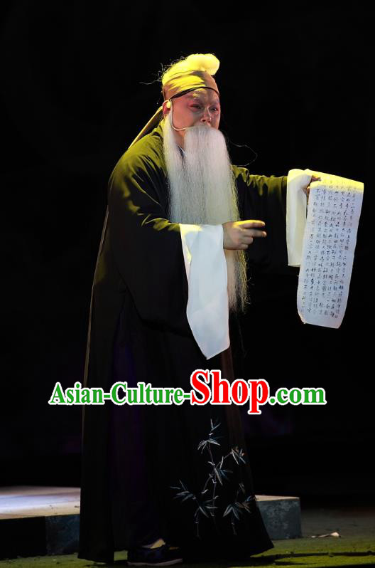 Cao Min Song Shijie Chinese Sichuan Opera Scribe Apparels Costumes and Headpieces Peking Opera Highlights Laosheng Garment Elderly Scholar Clothing