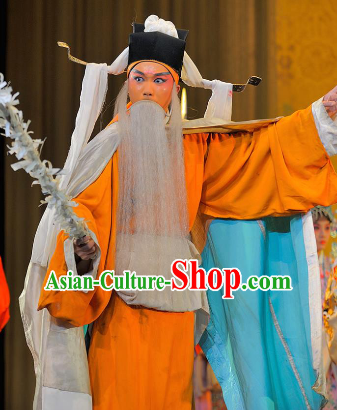 Sui Chao Luan Chinese Sichuan Opera Laosheng Apparels Costumes and Headpieces Peking Opera Highlights Garment Elderly Male Wu Jianzhang Clothing