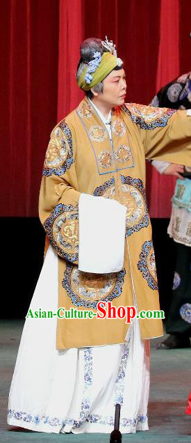 Chinese Sichuan Opera Highlights Dame Garment Costumes and Headdress Traditional Peking Opera Elderly Female Dress Pantaloon Apparels