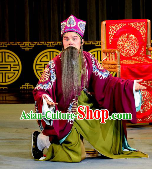 Chinese Sichuan Opera Laosheng Apparels Costumes and Headpieces Peking Opera Highlights Elderly Male Garment Landlord Li Qi Clothing