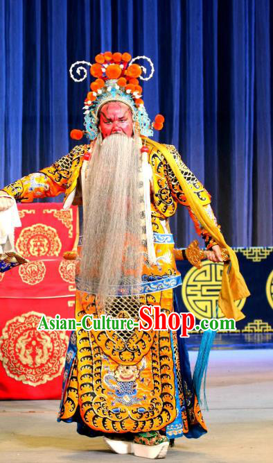 Dan Dao Hui Chinese Sichuan Opera Painted Role Apparels Costumes and Headpieces Peking Opera Highlights General Guan Yu Garment Armor Clothing
