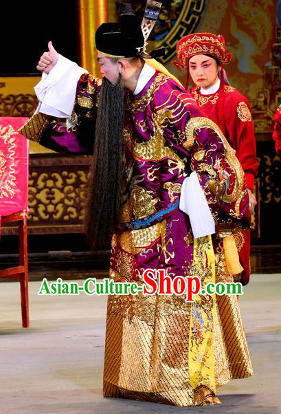 Bai Shou Tu Chinese Sichuan Opera Laosheng Apparels Costumes and Headpieces Peking Opera Highlights Elderly Male Garment Official Zhang Tianzuo Clothing