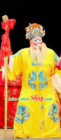 Bai Shou Tu Chinese Sichuan Opera Duke Cheng Yaojin Apparels Costumes and Headpieces Peking Opera Highlights Elderly Male Garment Clothing