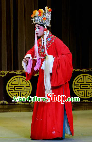 Chinese Sichuan Opera Eunuch Guo Huai Apparels Costumes and Headpieces Peking Opera Highlights Clown Garment Court Servant Clothing