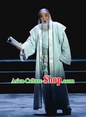 Gua Yin Zhi Xian Chinese Sichuan Opera Laosheng Apparels Costumes and Headpieces Peking Opera Highlights Elderly Scholar Garment Yu Bingyuan Clothing