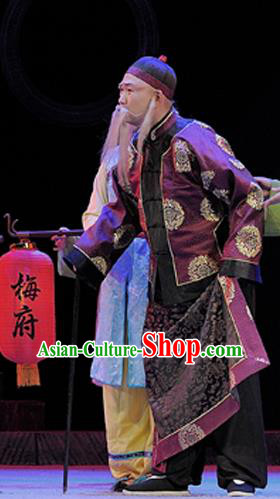 Legend of Chen Mapo Chinese Sichuan Opera Old Man Apparels Costumes and Headpieces Peking Opera Highlights Landlord Garment Patriarch Clothing