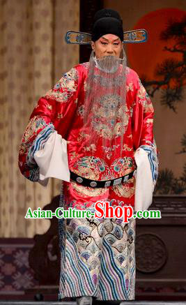 He Feng Qun Chinese Bangzi Opera Prime Minister Liang Que Apparels Costumes and Headpieces Traditional Hebei Clapper Laosheng Garment Elderly Male Clothing