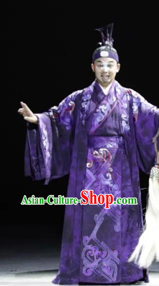 Luo Xiahong Chinese Sichuan Opera Minister Apparels Costumes and Headpieces Peking Opera Highlights Clown Garment Purple Clothing