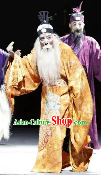 Luo Xiahong Chinese Sichuan Opera Elderly Male Apparels Costumes and Headpieces Peking Opera Highlights Lord Garment Laosheng Clothing