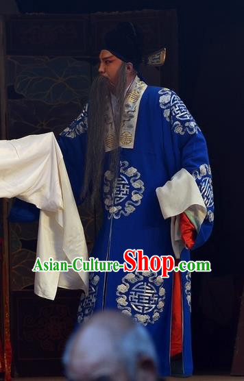 Dou E Yuan Chinese Bangzi Opera Laosheng Apparels Costumes and Headpieces Traditional Hebei Clapper Opera Garment Elderly Male Clothing