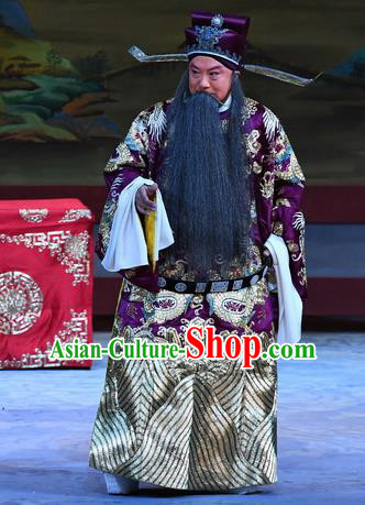 Xue Gang Fan Tang Chinese Bangzi Opera Laosheng Apparels Costumes and Headpieces Traditional Hebei Clapper Opera Official Garment Elderly Male Xu Ce Clothing