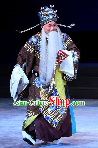 Xue Gang Fan Tang Chinese Bangzi Opera Minister Apparels Costumes and Headpieces Traditional Hebei Clapper Opera Official Xu Ce Garment Laosheng Clothing