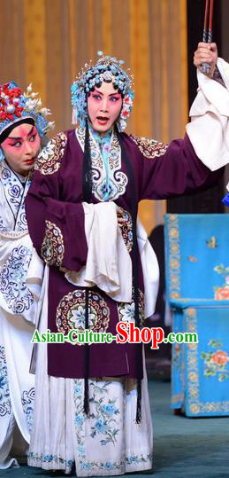 Chinese Hebei Clapper Opera Young Mistress Garment Costumes and Headdress The Butterfly Chalice Traditional Bangzi Opera Actress Dress Hua Tan Apparels