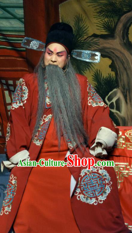 The Pearl Pagoda Chinese Bangzi Opera Laosheng Apparels Costumes and Headpieces Traditional Shanxi Clapper Opera Elderly Male Garment Landlord Chen Peide Clothing