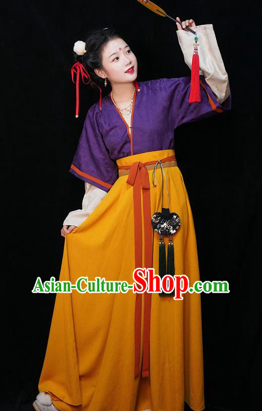 China Traditional Tang Dynasty Maid Lady Historical Clothing Ancient Servant Girl Hanfu Dress