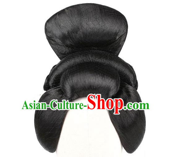 Chinese Classical Dance Du Fu Wigs Chignon Ancient Tang Dynasty Beauty Li Ren Xing Dance Headdress