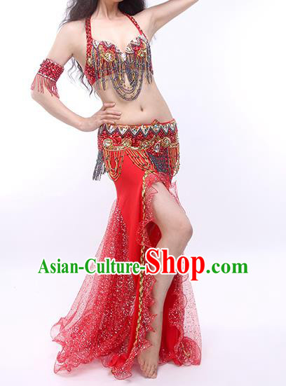 India Oriental Dance Bra and Skirt Outfits Traditional Asian Indian Belly Dance Stage Performance Red Clothing