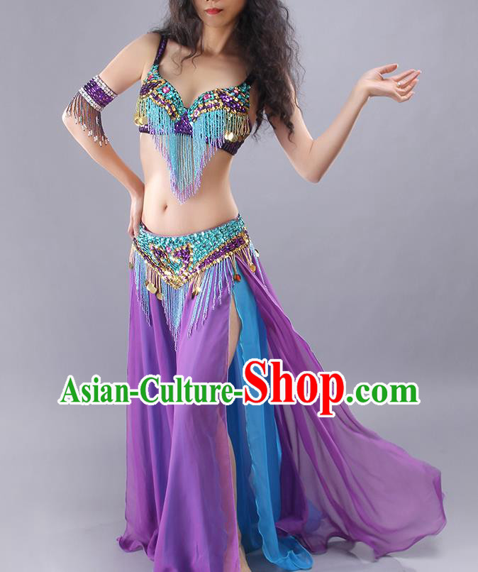 Traditional Asian Indian Belly Dance Clothing India Raks Sharki Tassel Bra and Purple Skirt Outfits