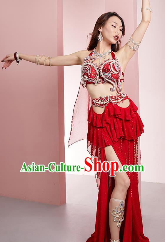Professional Indian Belly Dance Performance Clothing Asian Oriental Dance Raks Sharki Red Outfits