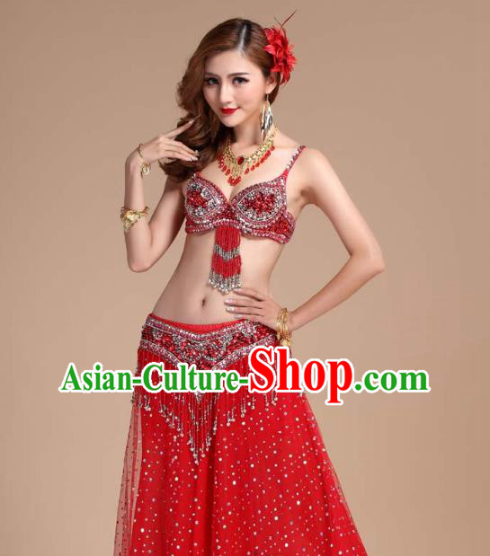 India Belly Dance Performance Clothing Indian Oriental Dance Uniforms Asian Traditional Raks Sharki Red Bra and Skirt