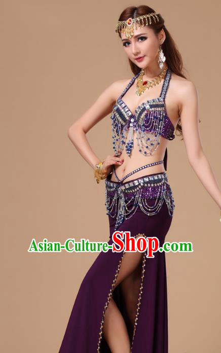 Top Asian Indian Stage Performance Purple Uniforms Belly Dance Clothing Traditional Oriental Dance Bra and Skirt