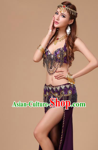 Traditional Raks Sharki Bra and Skirt Top Belly Dance Performance Clothing Asian Indian Oriental Dance Purple Uniforms
