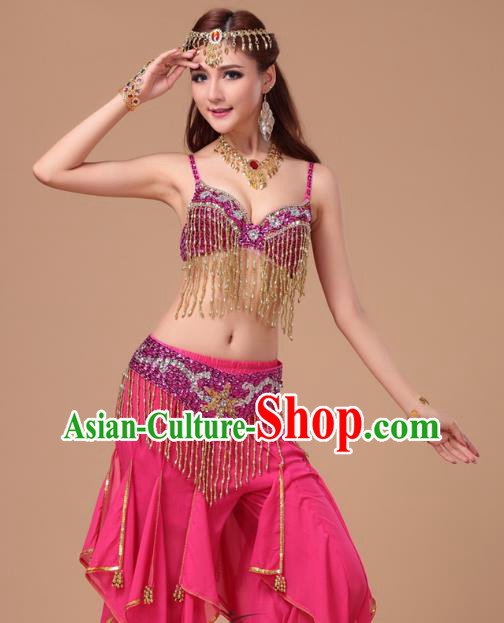 Top Indian Belly Dance Training Rosy Uniforms Asian Oriental Dance Bra and Pants Clothing