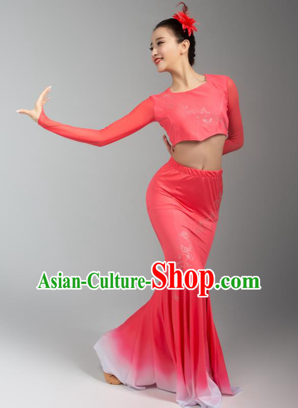 China Yunnan Ethnic Folk Dance Pink Blouse Skirt Outfits Traditional Dai Nationality Peacock Dance Clothing