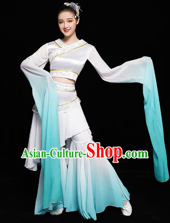 Chinese Classical Dance Performance Clothing Water Sleeve Dress Traditional Court Dance Costumes