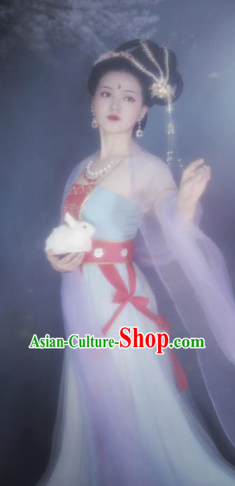 China Traditional Tang Dynasty Court Beauty Hanfu Dress Cosplay Drama Journey to the West Chang E Clothing Ancient Moon Goddess Garments
