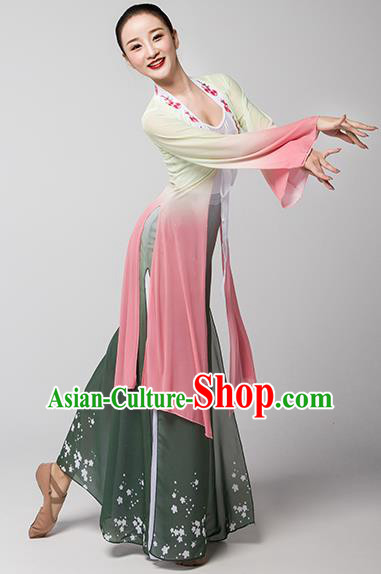 Top Chinese Classical Dance Dress Woman Group Fan Dance Garment Costume Traditional Stage Performance Clothing
