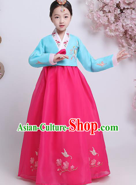 Korean Court Princess Garment Costumes Asian Korea Children Embroidered Blue Blouse and Rosy Dress Traditional Girl Hanbok Clothing
