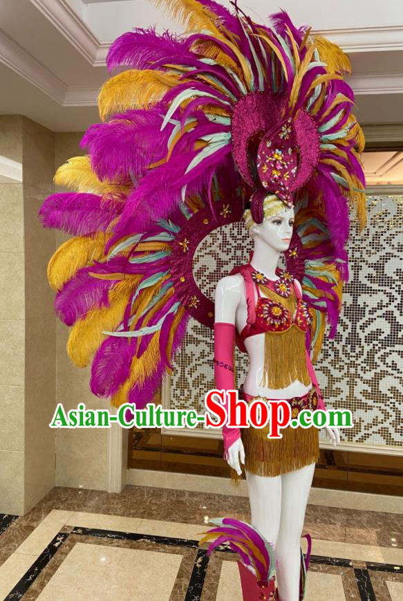 Miami Deluxe Rosy Feathers Wings and Headdress Brazilian Carnival Props Professional Samba Dance Clothing