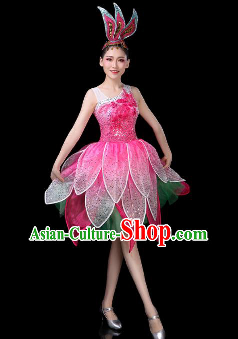 Professional China Modern Dance Clothing Opening Dance Pink Dress Women Group Dance Costume Lotus Dance Garments