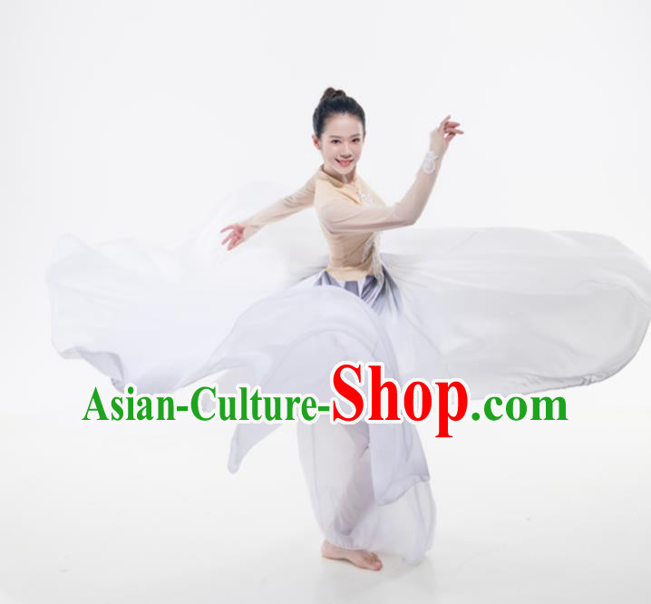 Professional Modern Dance White Dress Opening Dance Garment Group Dance Fashion Women Performance Costume
