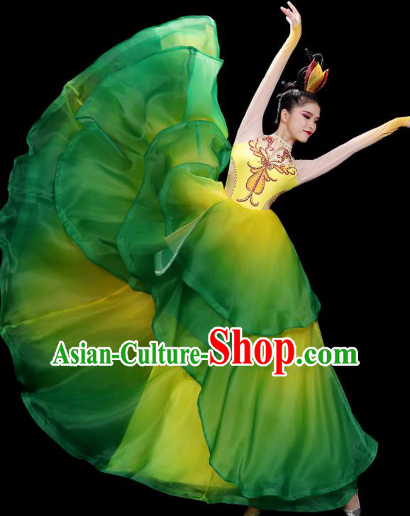 China Flower Dance Costume Stage Performance Garments Modern Dance Clothing Opening Dance Green Dress