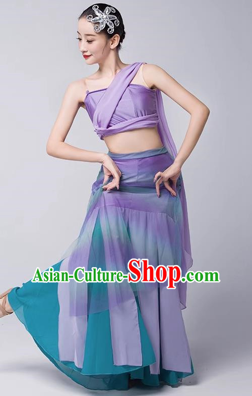 Art Examination Peacock Dance Practice Skirt Dai Dance Costume Female National Dance Performance Clothing