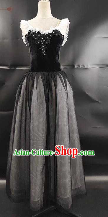 Ballet Skirt Adult Female Tutu Performance Clothing Practice Clothing Fluffy Gauze Skirt Black Swan Lake Black Performance Clothing