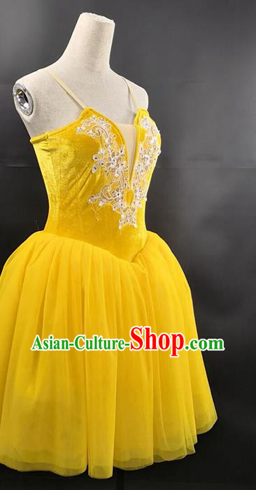 Ballet Performance Costume Long Skirt Custom Dance Aerobics Stage Ballet Costume Gauze Skirt Tutu Skirt Performance Costume
