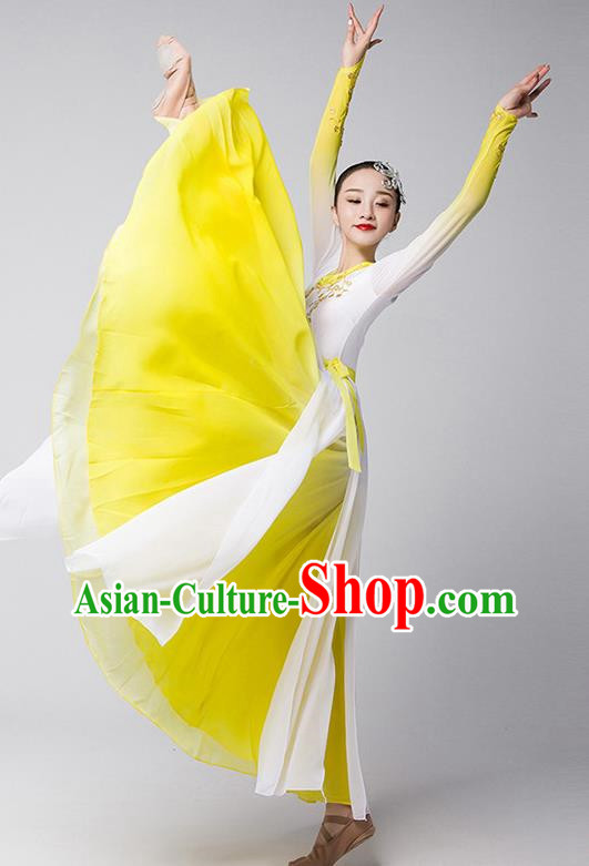 Group Dance Modern Dance Costume Elegant Large Skirt Performance Costume