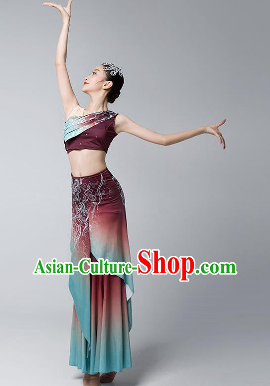 Dai Costume Female Practice Dance Performance Clothing Art Test Practice Skirt Adult Peacock Fishtail Skirt Performance Clothing