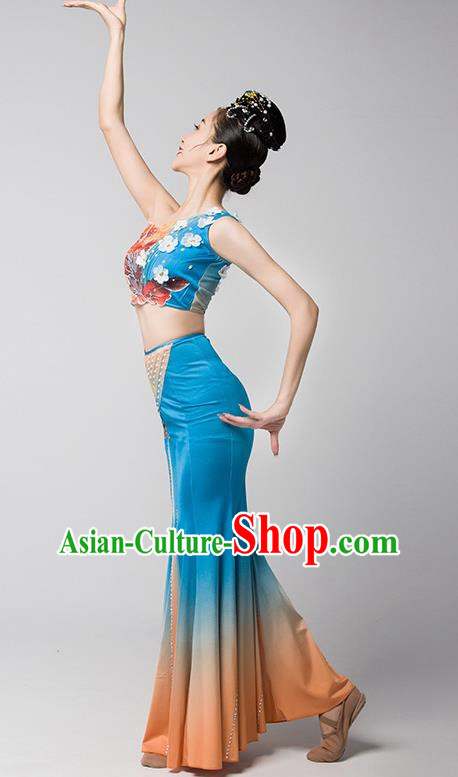 Dai Nationality Dance Art Examination Clothing Gradient Mermaid Skirt Ethnic Minority Dance Performance Clothing