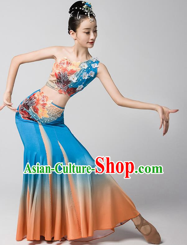 Dai Nationality Dance Art Examination Clothing Gradient Mermaid Skirt Ethnic Minority Dance Performance Clothing