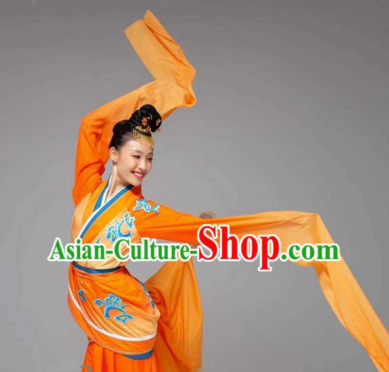 Classical Dance Water Sleeve Dance Costume Jade Dance Long Water Sleeve National Performance Costume
