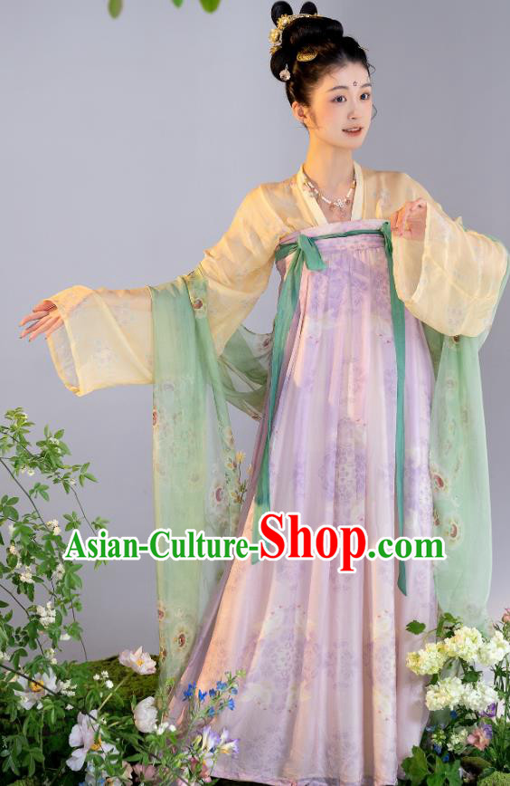 Chinese Ruqun Woman Hanfu Tang Dynasty Court Lady Clothing Ancient Princess Dress Costumes