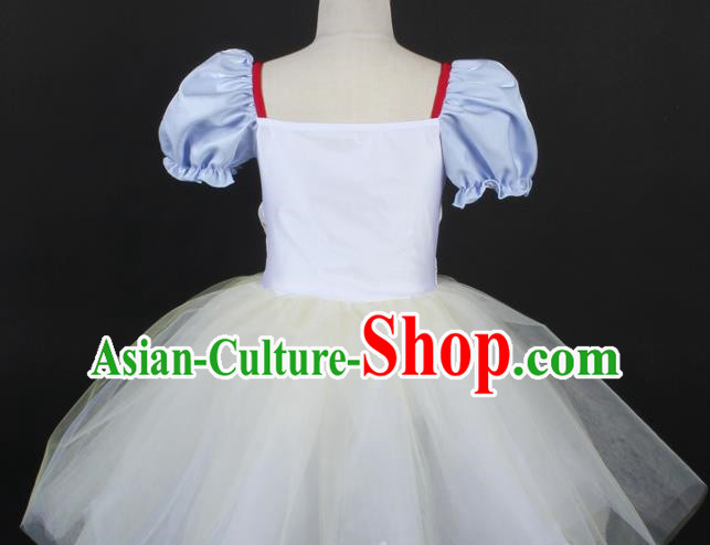 Children Female Adult Ballet Dance Dress Princess Dress Flower Girl Stage Costume Performance Costume